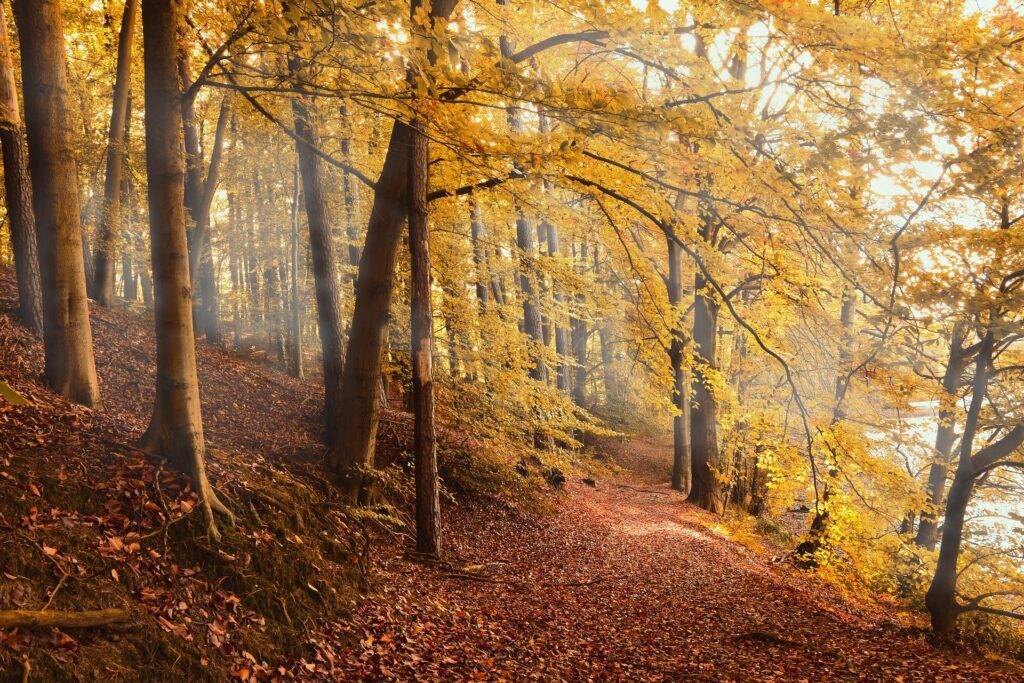 Foliage e trekking, gli itinerari più belli d’Italia