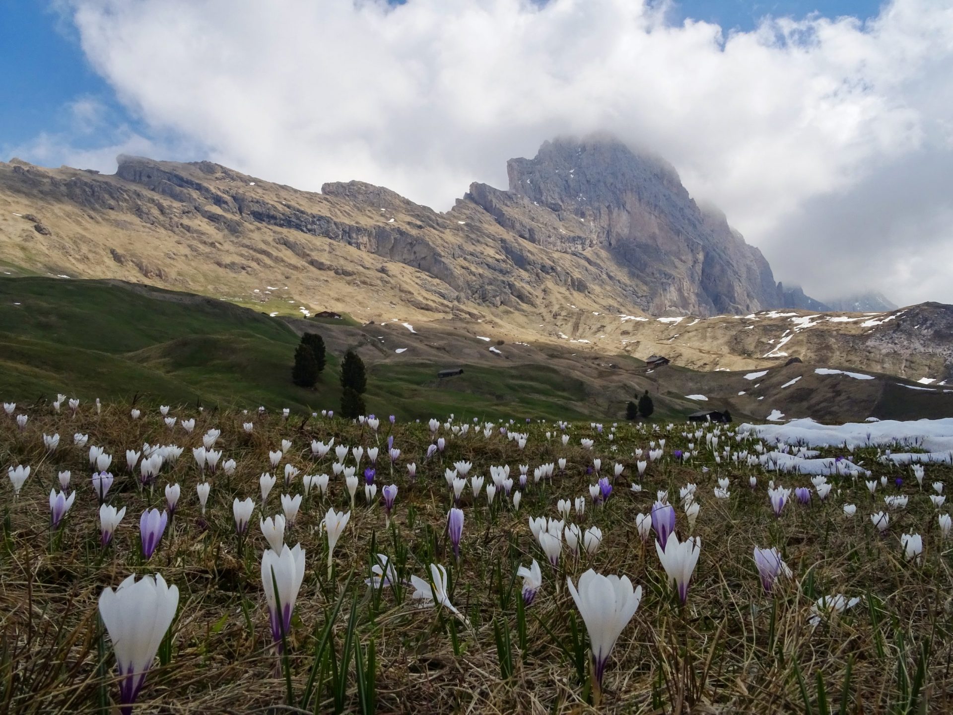 Prati verso il Seceda