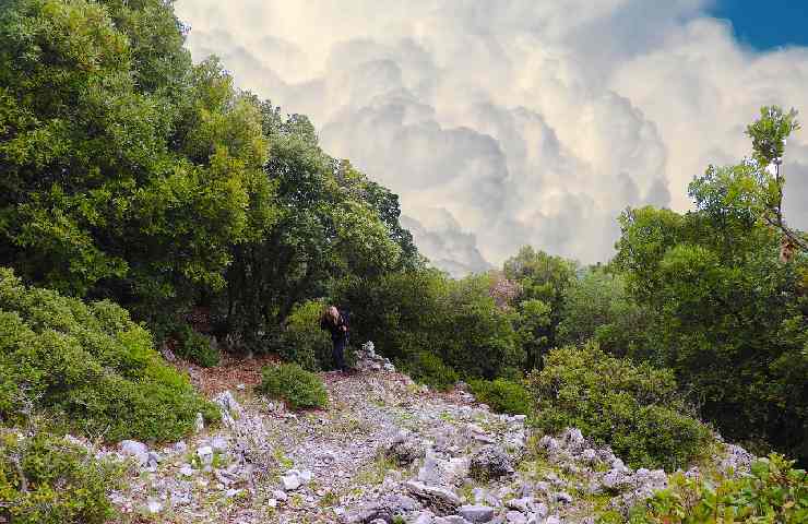 Una montagna del Cilento