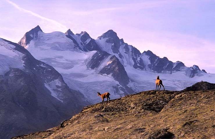 Gran Paradiso 