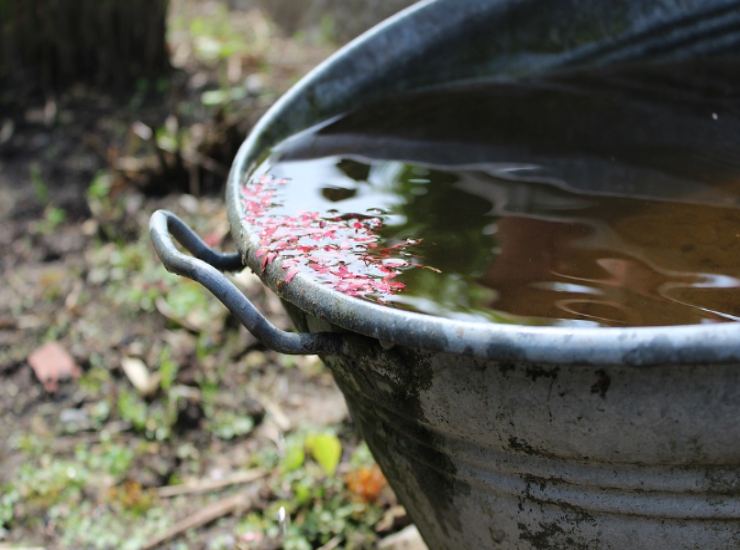 Come raccogliere l'acqua piovana