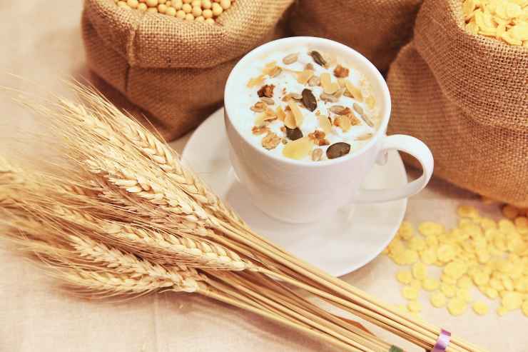 Cereali, prugne e olive: rimedi contro la stitichezza