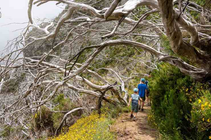 Cosa indossare per la montagna