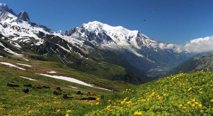 Monte Bianco la vetta più alta 
