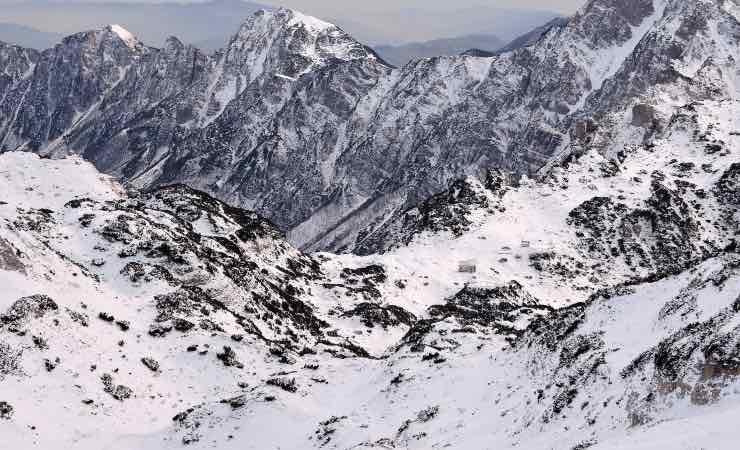 Ha rinevicato a maggio sulle montagne torinesi, felicità per gli allevatori 