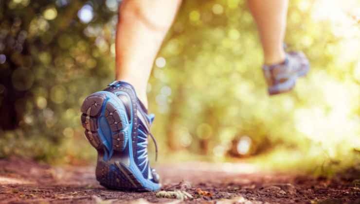 Le 5 scarpe per trail running