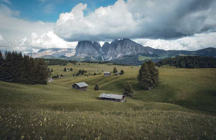 Trentino