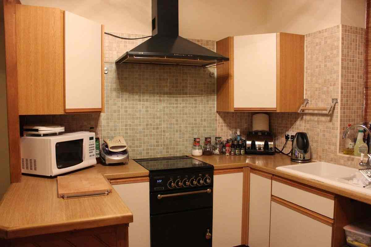 forno microonde punti neri sportello a cosa servono