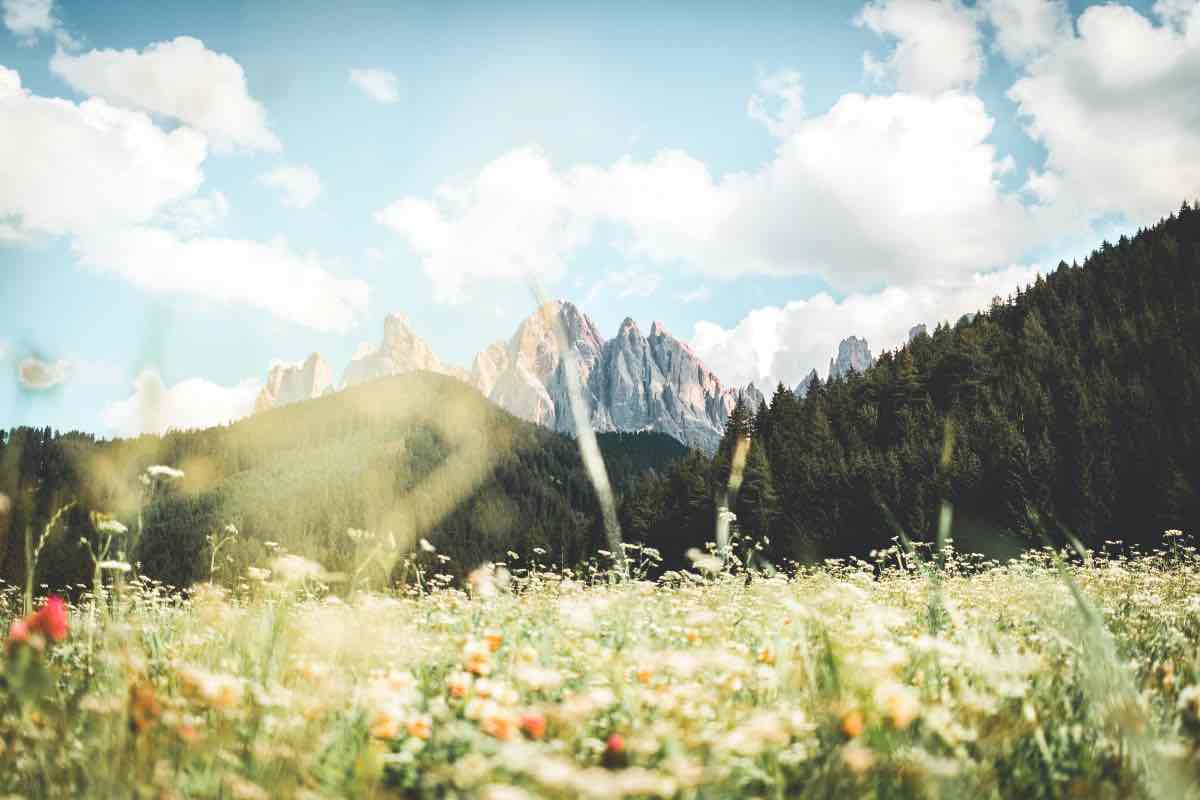 Non perdere l'occasione di visitare la montagna che si colora di fiori in Italia