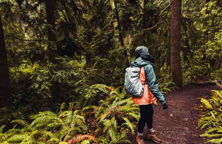 Uomo nel bosco mentre piove