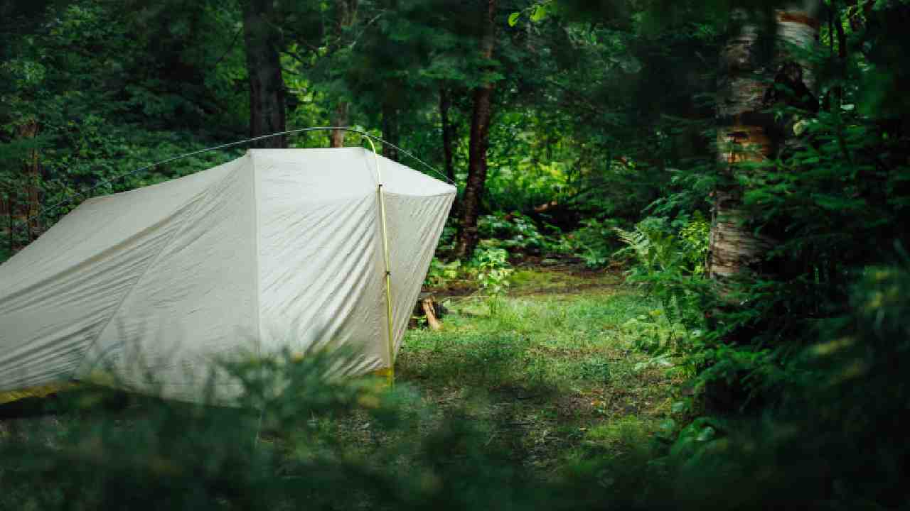 Tenda nel bosco