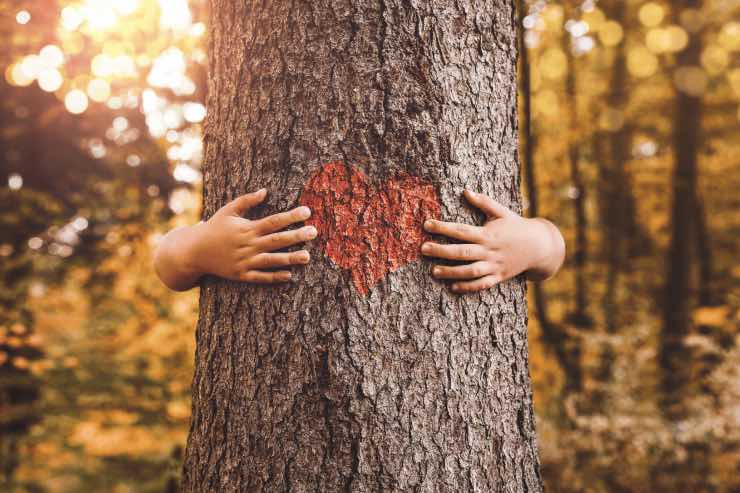 Test della personalità: scopri come sei fatto davvero
