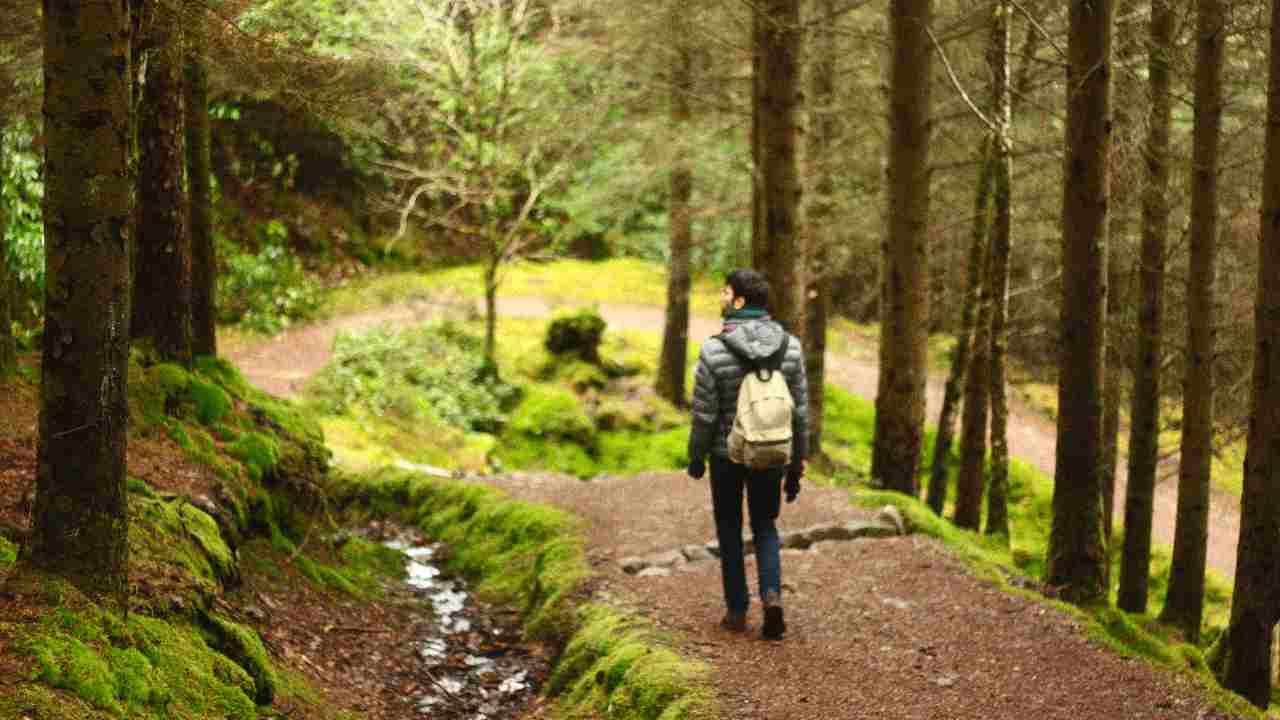 Uomo nel bosco