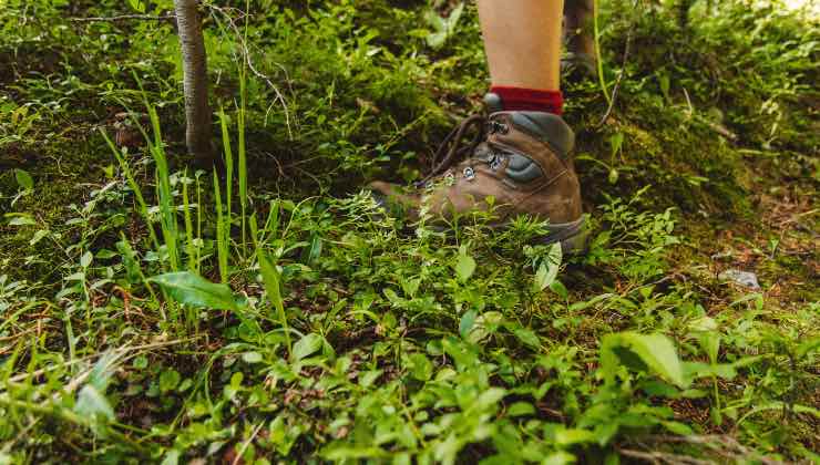 Pronto per il trekking? Le info che devi sapere sui sentieri