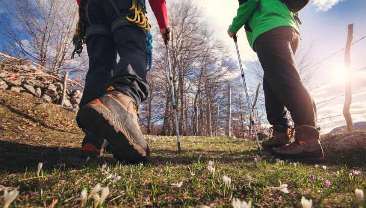 Trekking, in quali piante pericolose potresti incappare