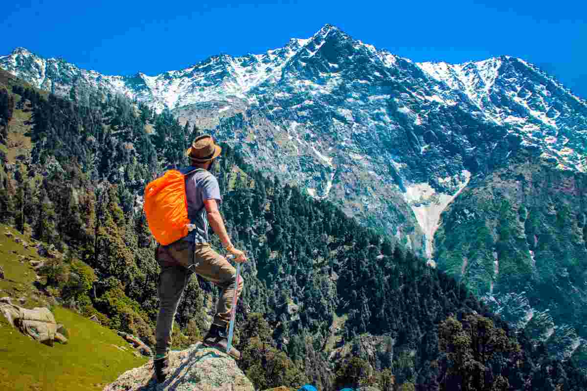 animali e piante pericolosi quando si fa trekking