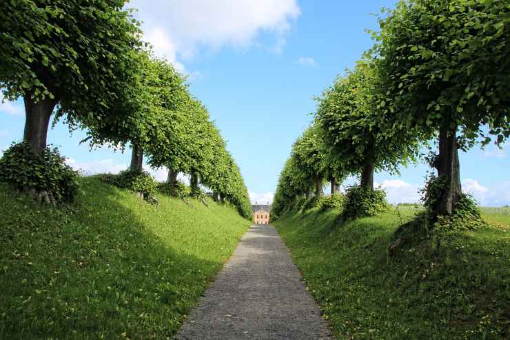 Giardino e serpenti: due facce della stessa medaglia
