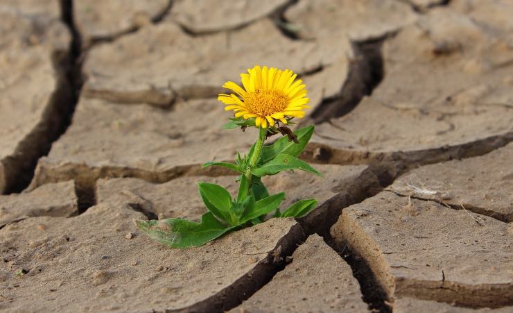 Siccità, come sopravvivere ai prossimi disastri climatici in Italia, parla l’esperto 