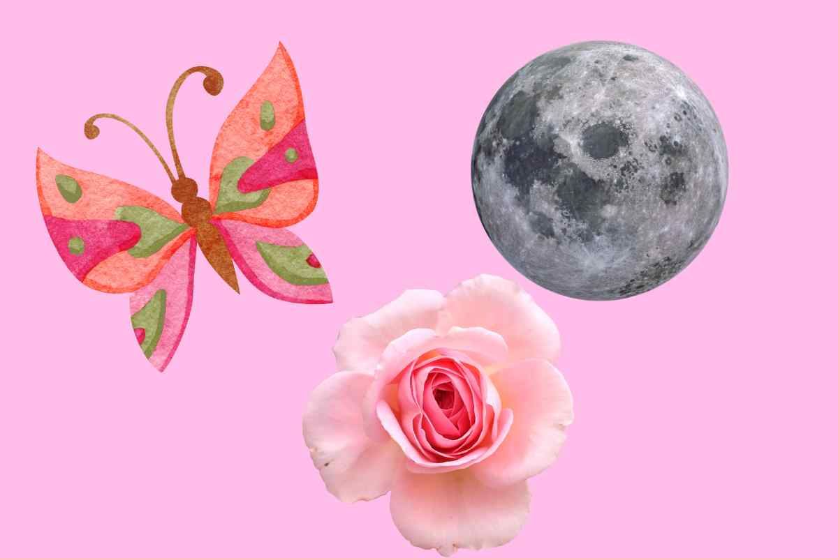 Test personalità farfalla Luna e rosa