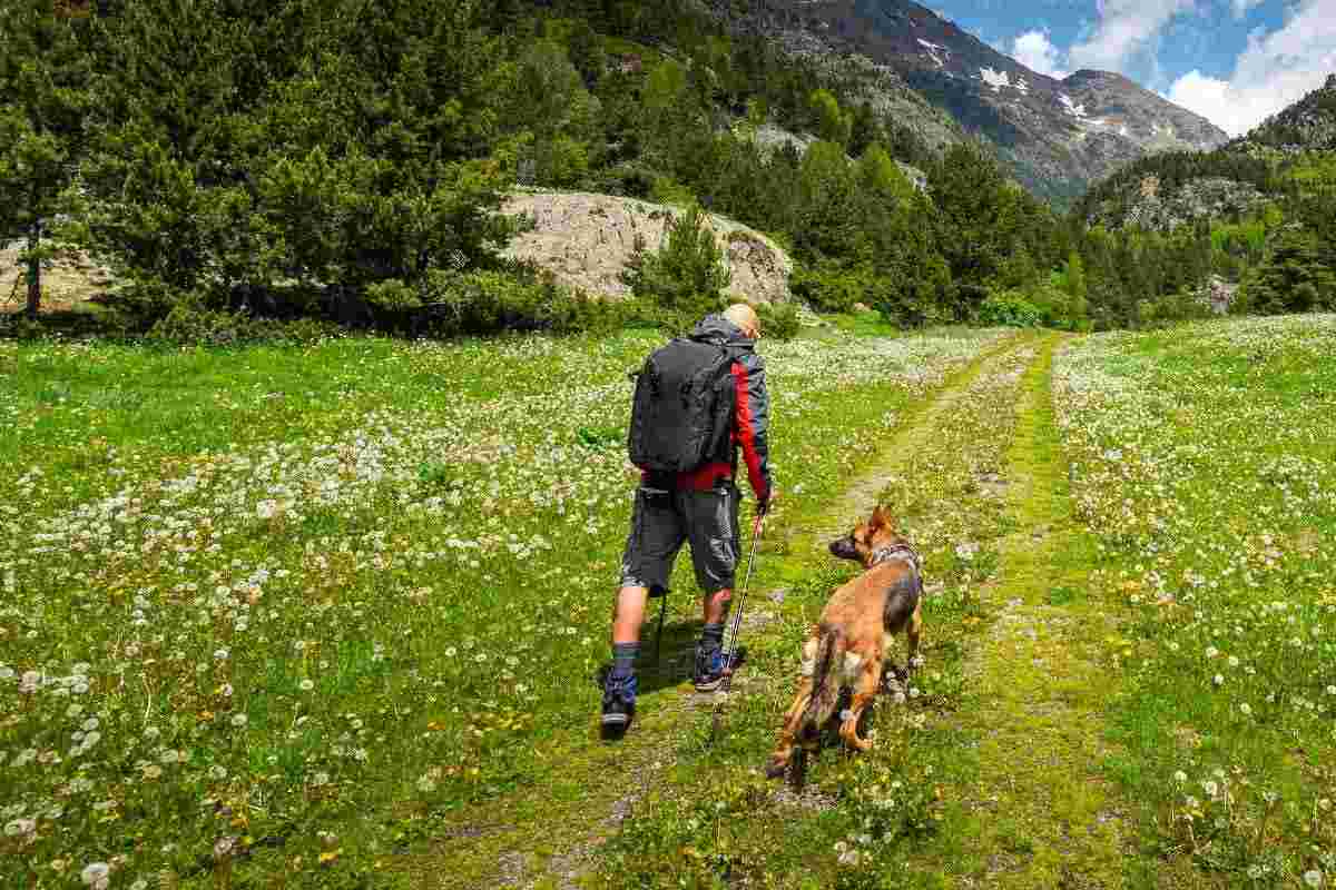 fare trekking con il cane cosa sapere