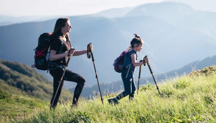 Approfitta dello sconto e acquista questi bastoncini da trekking