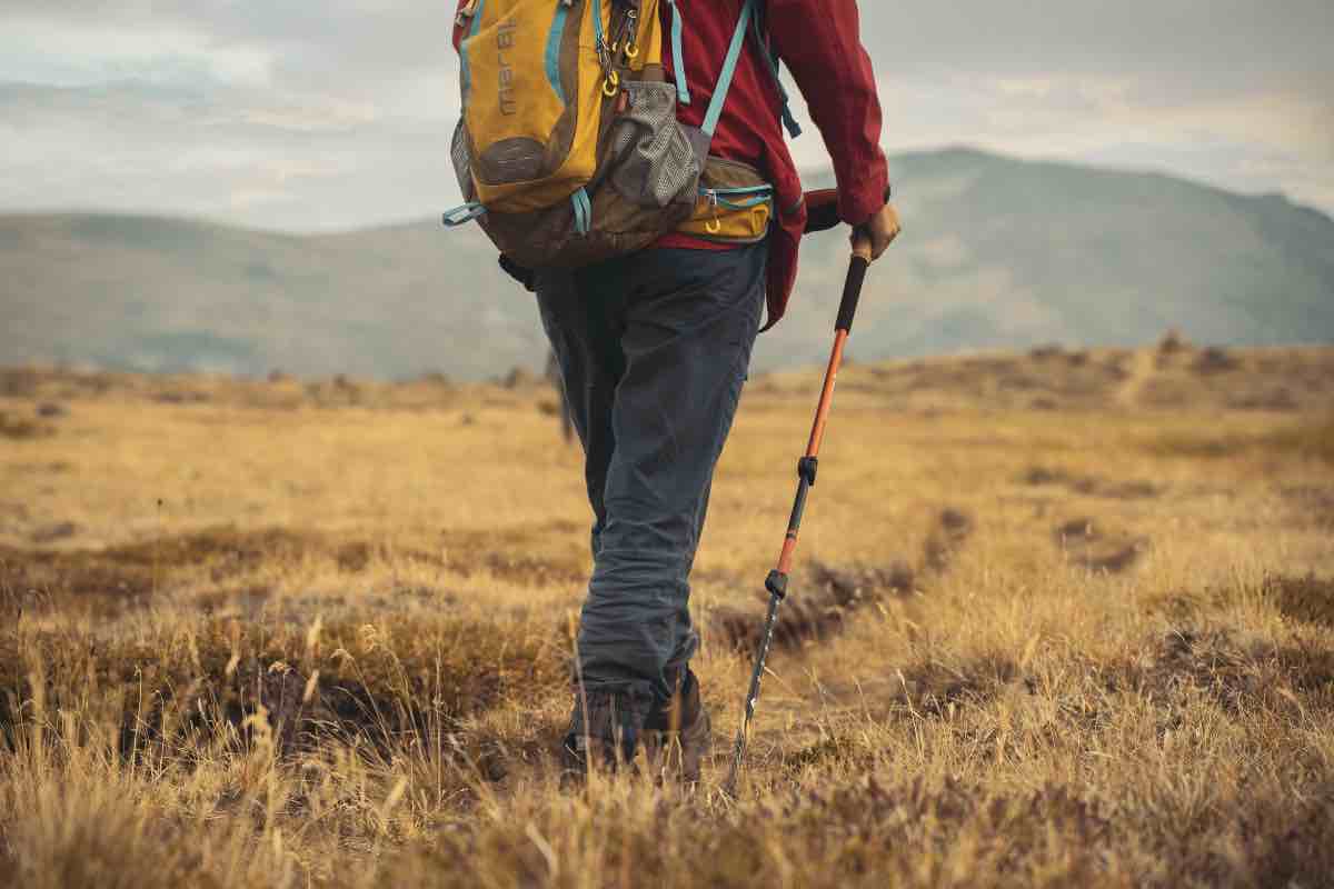 Approfitta della promo su questi bastoncini da trekking