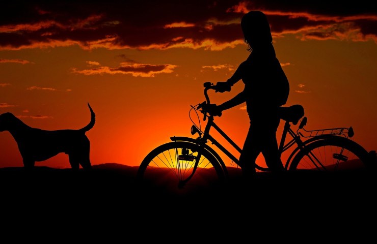 Cane e donna al tramonto