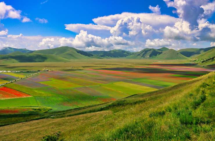 Piani di Castelluccio in fiore