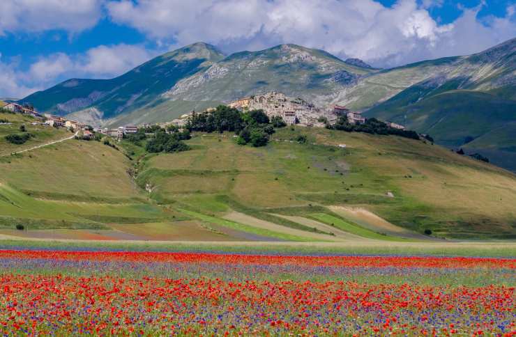 Castelluccio di Norcia e la Fioritura