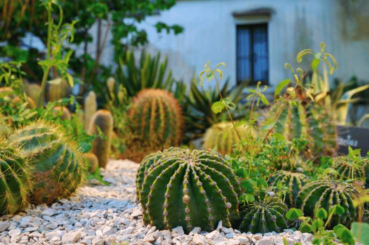 Soluzione ed idee per arredare il giardino in estate