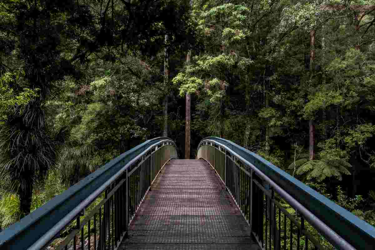 Ponte tibetano