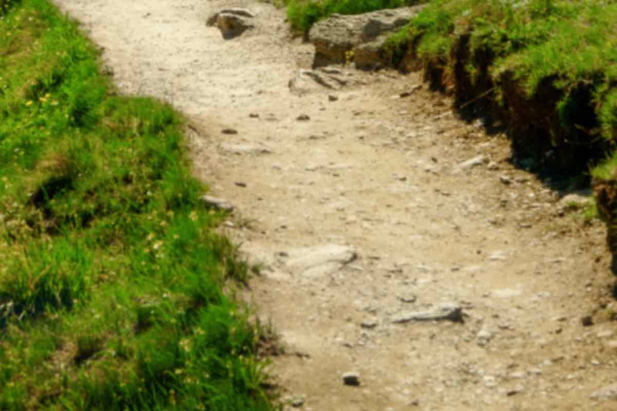 Il sentiero in montagna adatto a tutti