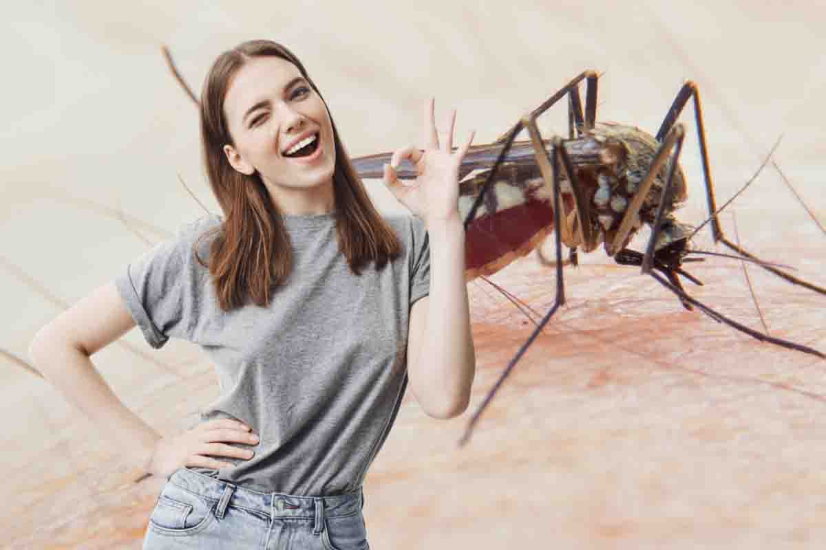 Ecco come fare per evitare le punture di zanzara