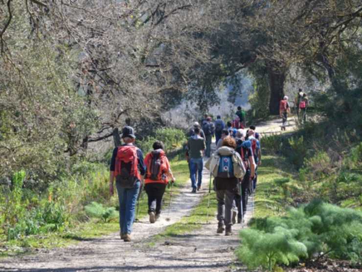 Numero da chiamare se si sta male in montagna