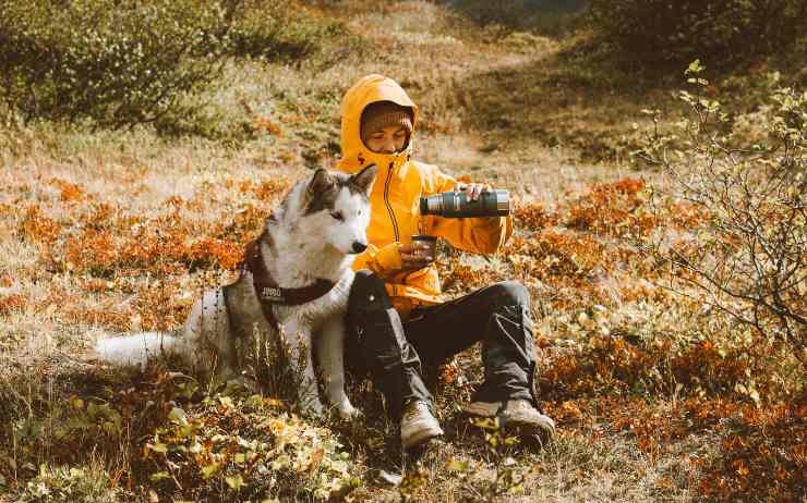Cane libero in montagna: si può?