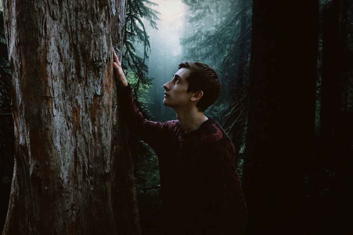 Uomo nella foresta tocca un albero