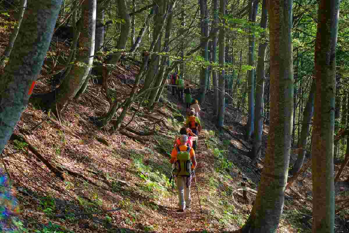 Persone che fanno trekking in un sentiero tra gli alberi in montagna vestiti da trekking