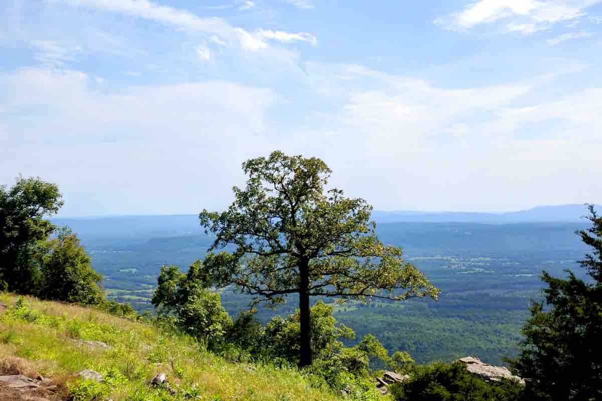 Particolare di una montagna in Arkansas