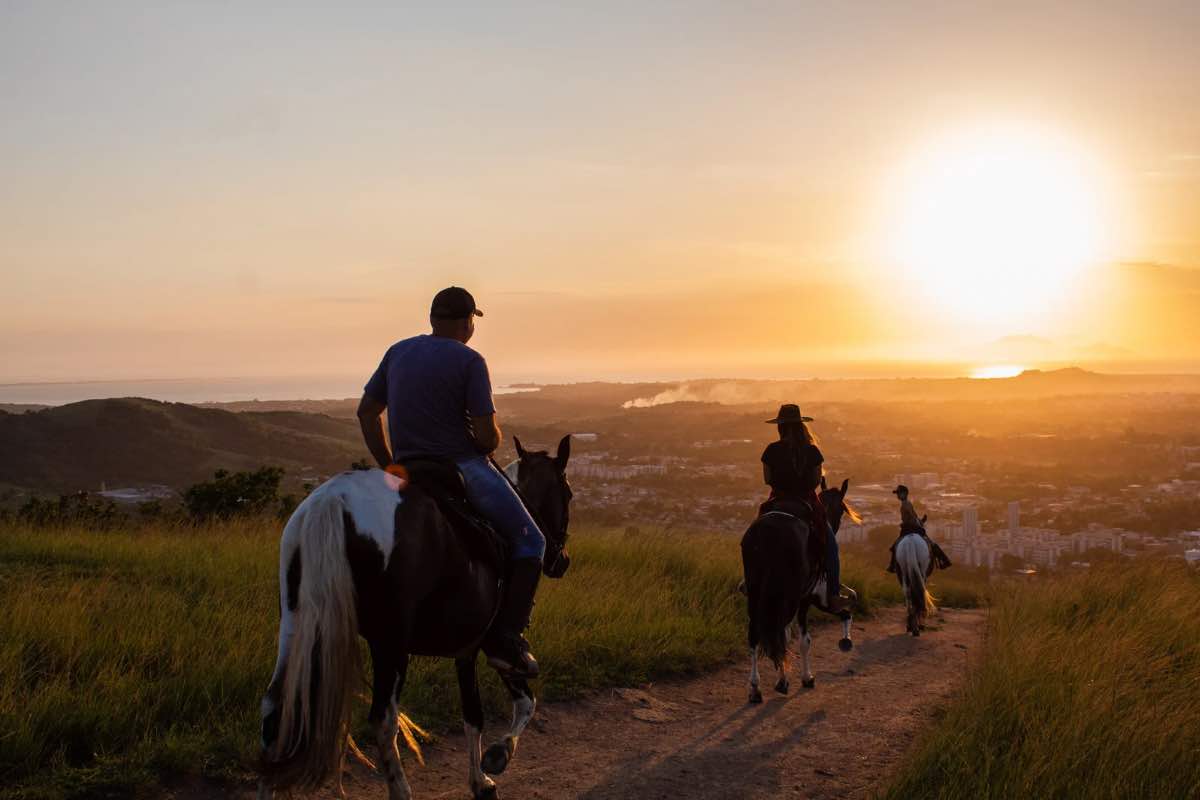 Passeggiata a cavallo durante l'alba