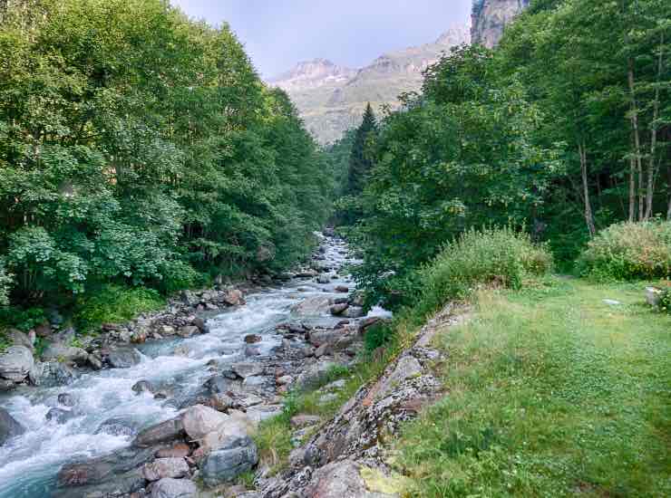 Particolare di un ruscello in alta montagna