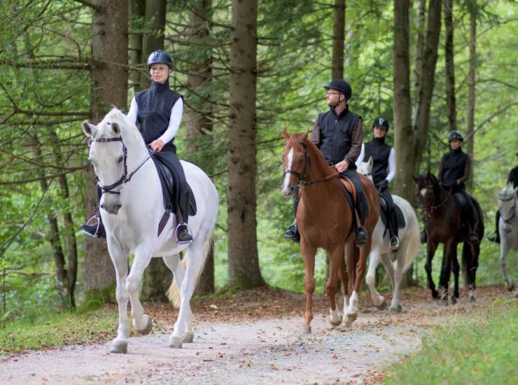 tipica cavalcata a cavallo nel bosco