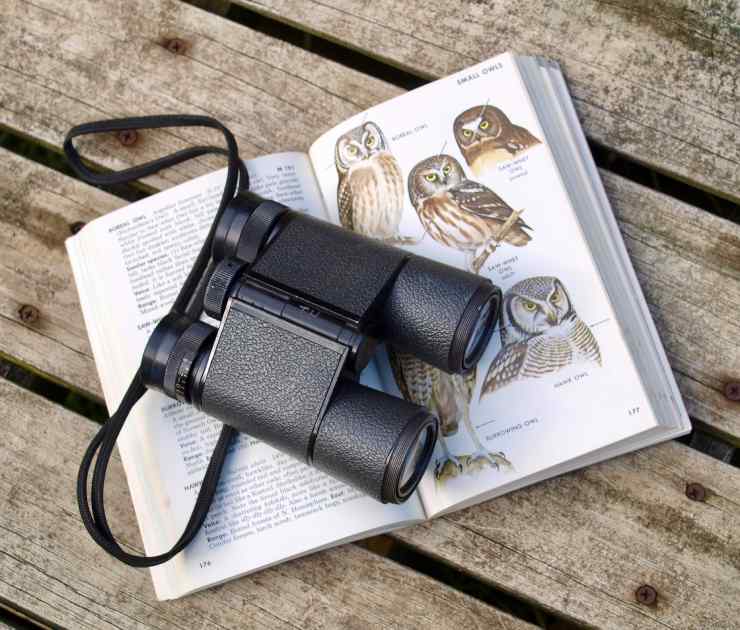 Binocolo e libro per praticare il birdwatching