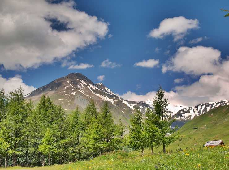 Una splendida visuale delle montagne