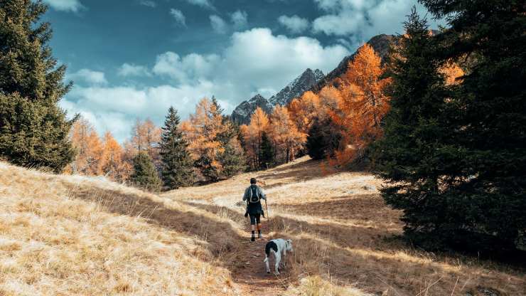 Cane e padrone su un sentiero in montagna