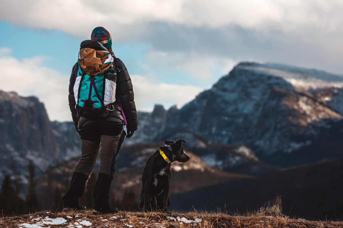 Cane e padrone praticano trekking in montagna