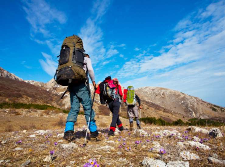 Delle persone fanno trekking in montagna