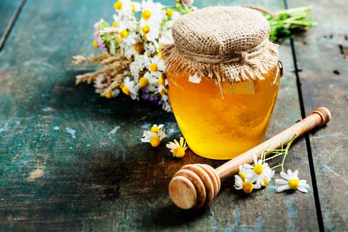 Un vasetto di miele contornato da margherite di campo
