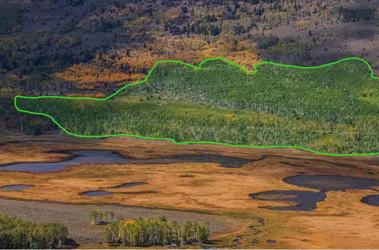 Estensione di Pando