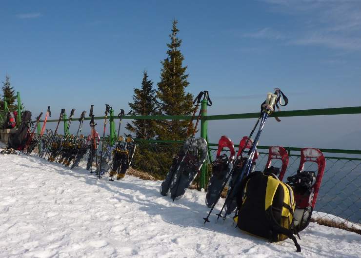 Vari tipi di ciaspole