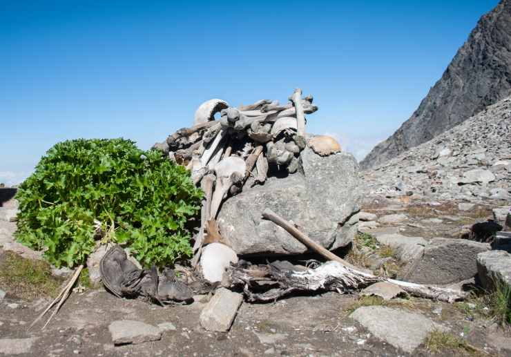 Scheletri del lago Roopkund